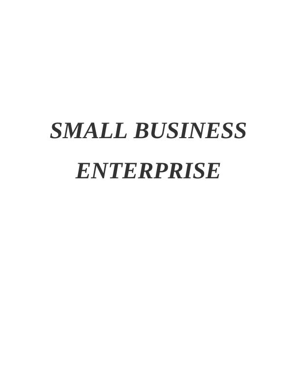 Small Business Enterprise : Assignment_1