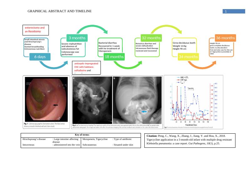 Tigecycline Application in a 3MonthOld Infant with Multiple Drug