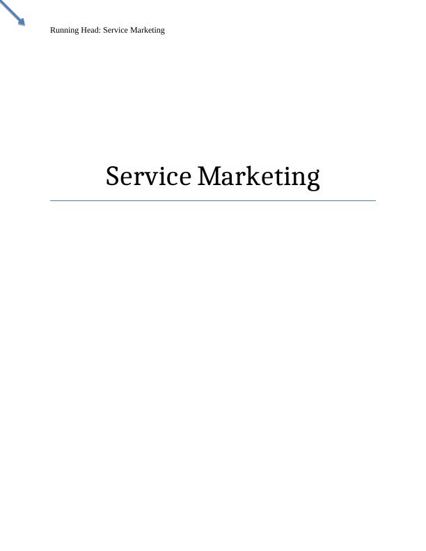 Service Marketing | LLC Airline_1