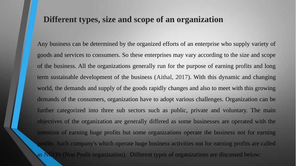 Different Types, Size and Scope of an Organization_4