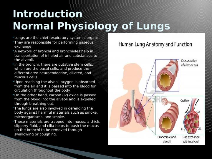 Lung Cancer: Pathophysiology, Treatment with Cisplatin, and Adverse Effects_2