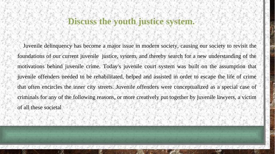 Reflective Professional Practice in Youth Justice System_4