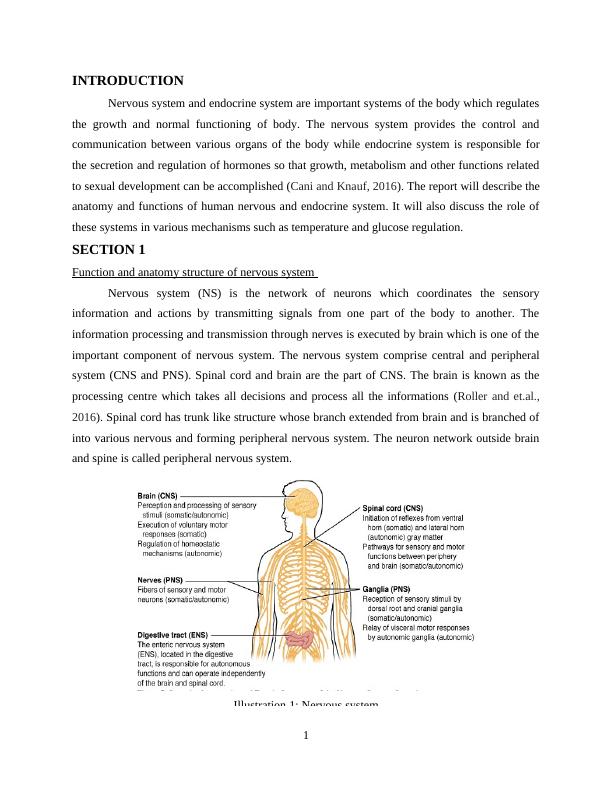 (PDF) Nervous and Endocrine Systems_3
