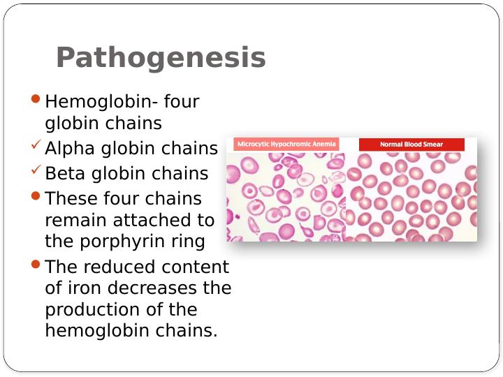 Hypochromic Microcytic Anemia: Causes, Pathogenesis, and Diagnostic Approaches_4