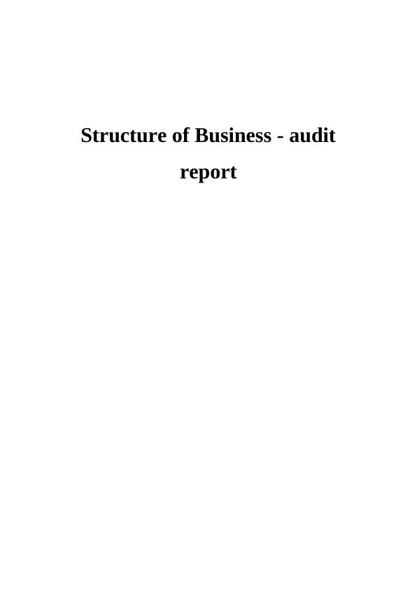 Structure of Business - Audit Report_1