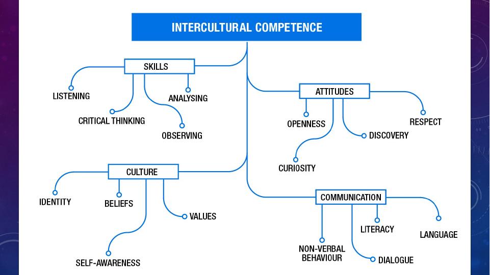 Intercultural Competence Assignment Report_3