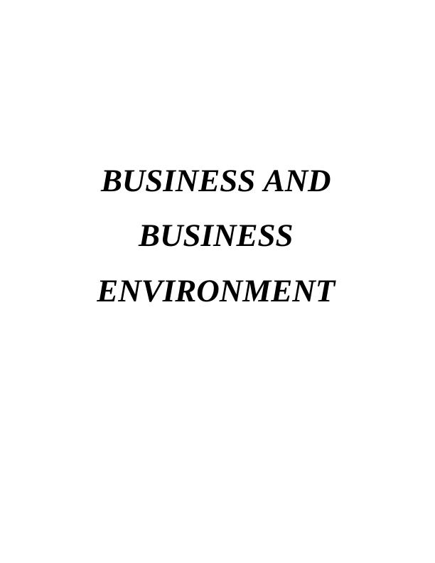 Business and Business Environment Assignment - Flybe_1