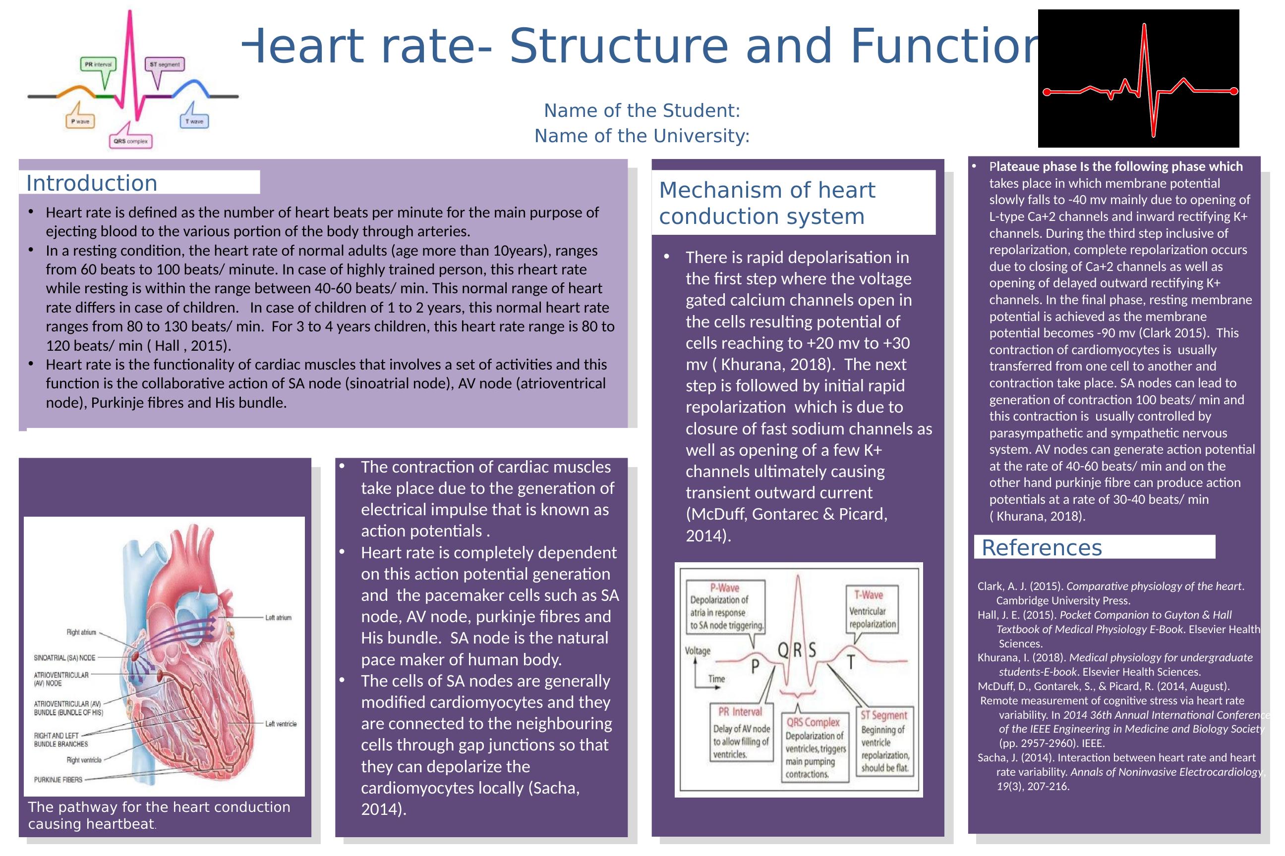 Heart Rate - Structure and Function