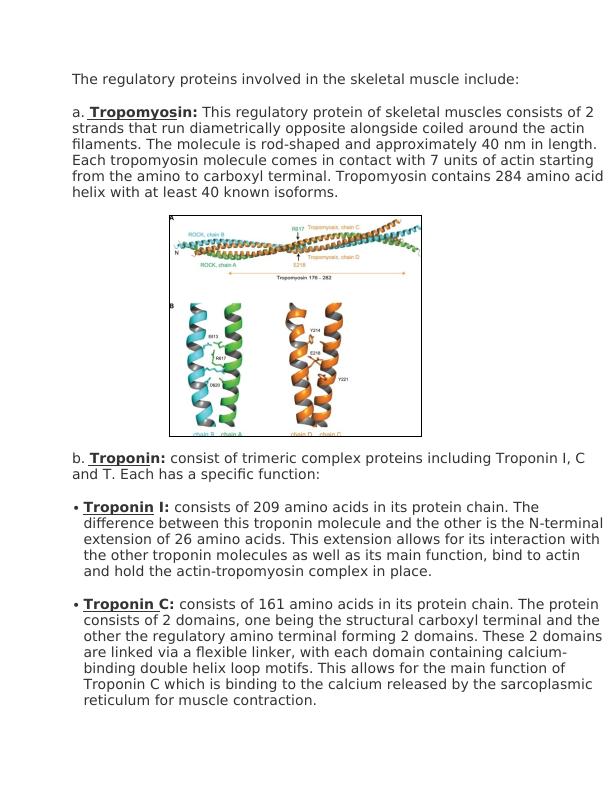 Contractile and Regulatory Proteins in Skeletal Muscle, Mechanism of Muscle Contraction, Sarcomere Structure, TRIAD Components, and Muscle Relaxation Mechanism_2