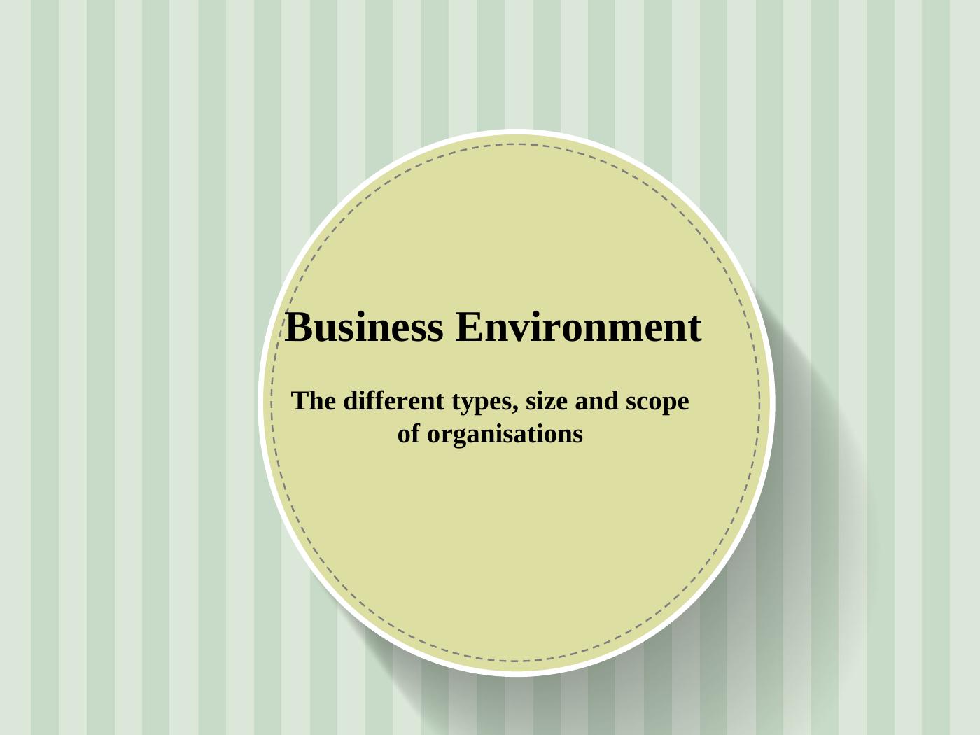 Business Environment: Types, Size, And Scope Of Organisations