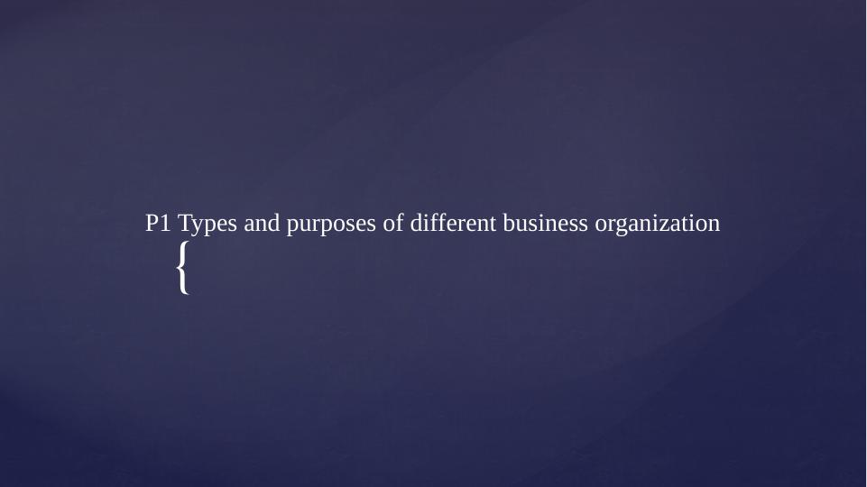 Types and Purposes of Different Business Organizations_1