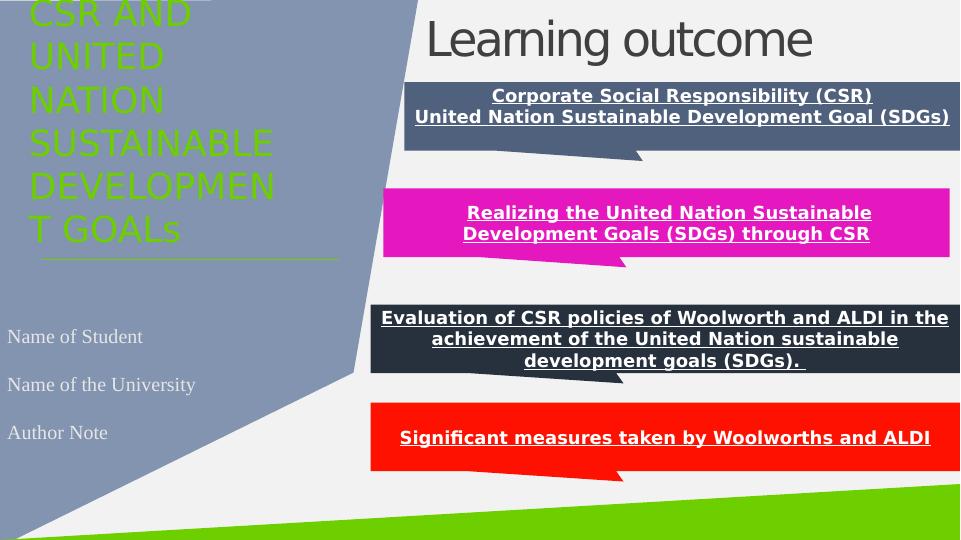 Realizing the United Nation Sustainable Development Goals (SDGs) through CSR_1