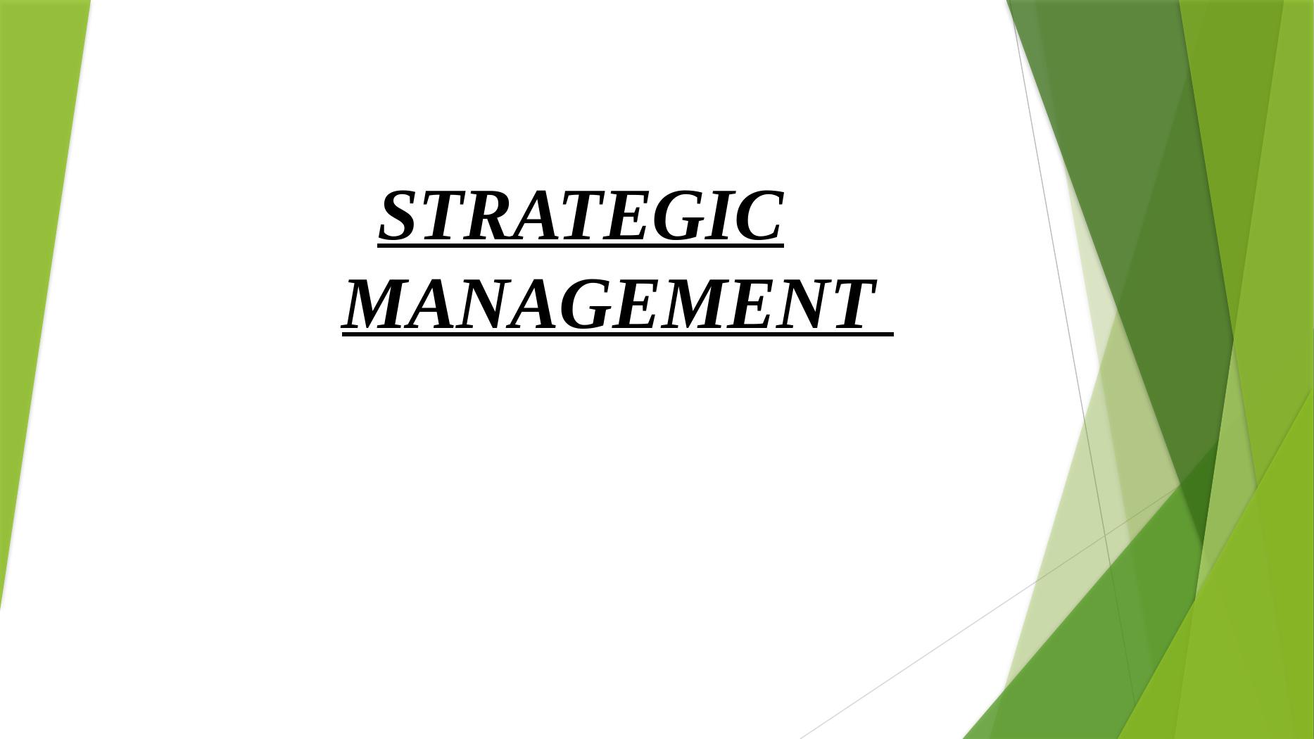 Strategic Management: BMW Case Study_1