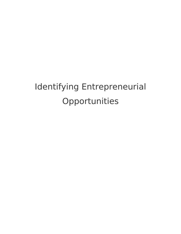 Identifying Entrepreneurial Opportunities Assignment (Doc)_1