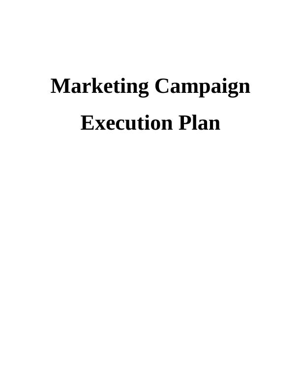 Marketing Campaign Execution Plan