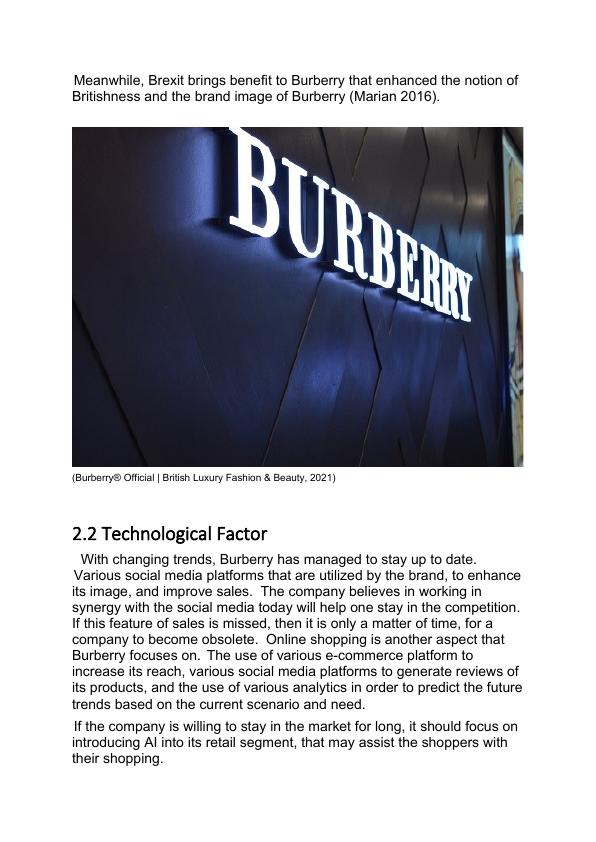 Essay on Business Analysis of Burberry_4
