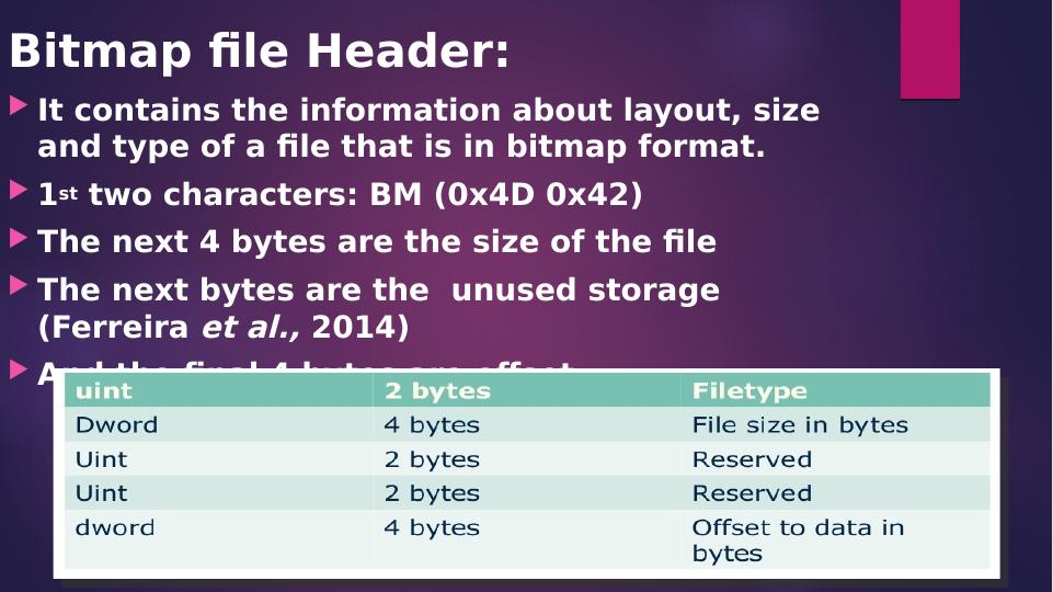 USE THE BMP FORMAT AS AN EXAMPLE TO EXPLAIN FILE HOLDERS.