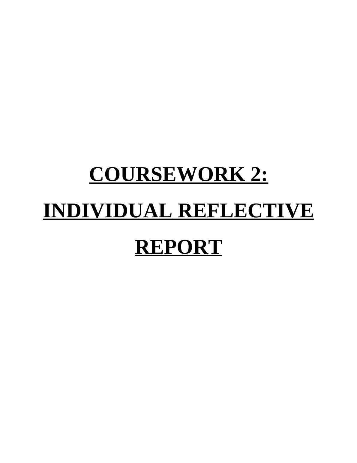Individual Reflective Report Assignment_1