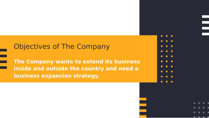 Business Expansion Strategies for Bush Babee Company | PPT_3