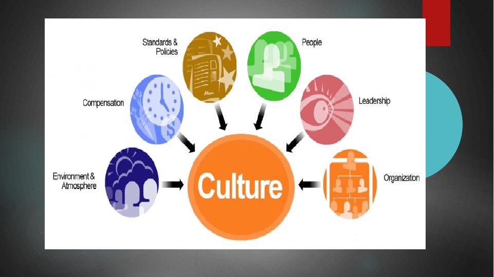 Organization Behavior: Types of Organizational Cultures, Structures, and Factors Influencing Individual Behavior_3