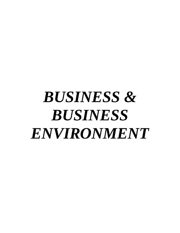 Business and Business Environment Assignment - Mark & Spenser_1