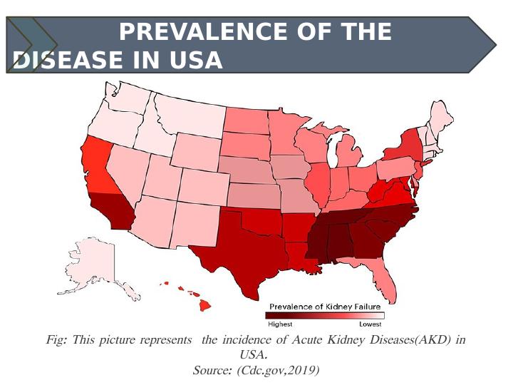 Global variation in the incidence of Acute Kidney Diseases (AKD) in USA_3