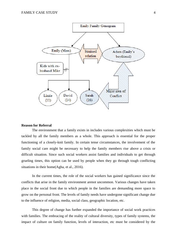 what is family case study all about