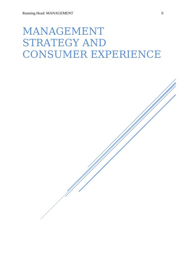 Management Strategy and Consumer Experience | Research Report_1