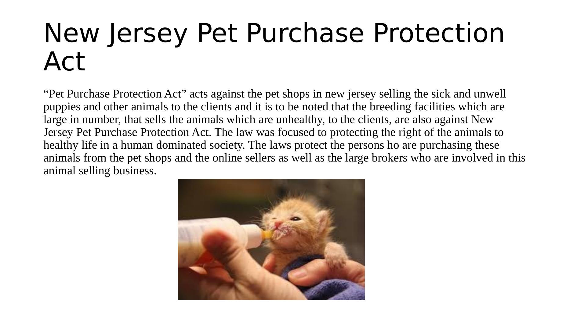 New Jersey Pet Purchase Protection Act