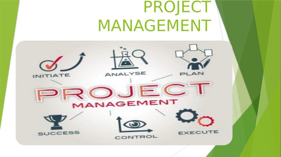 Project Management: Strategies for Successful Completion and Stakeholder Engagement_1