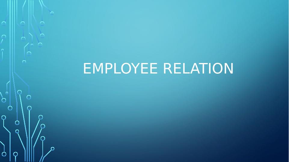 Strategic Human Resource Management for Employee Relations_1