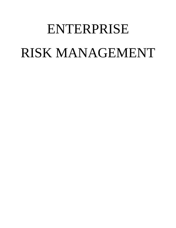 enterprise risk management assignment