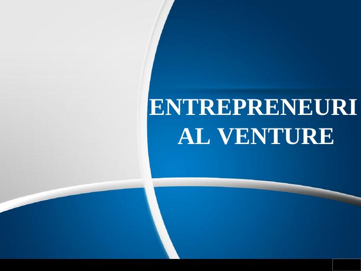 Entrepreneurial Venture_1