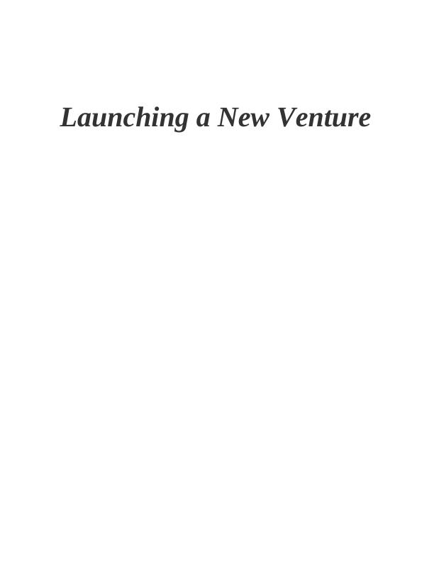 Launching a New Venture PDF_1