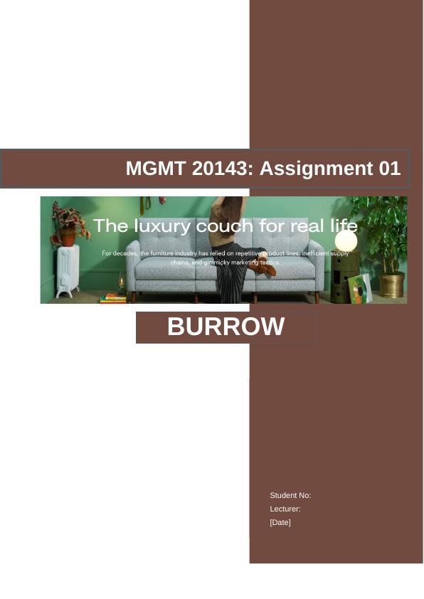Business model evaluation of Burrow MGMT 20143: Assignment 01_1