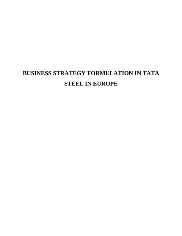 Business Study of Tata Steel Compny_1