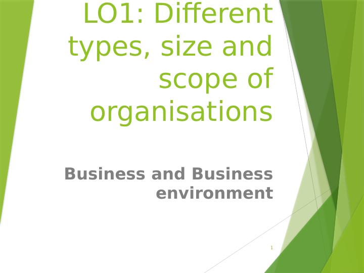 LO1: Different types, size and scope of organisations_1