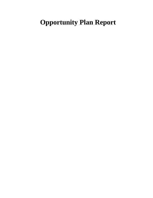 Assignment On Opportunity Plan Report_1