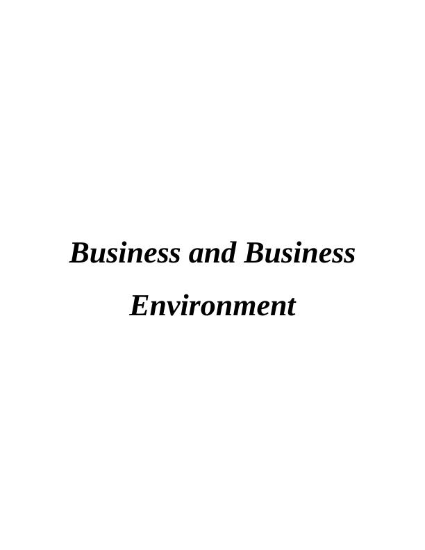 Business and Business Environment Report - M&S_1