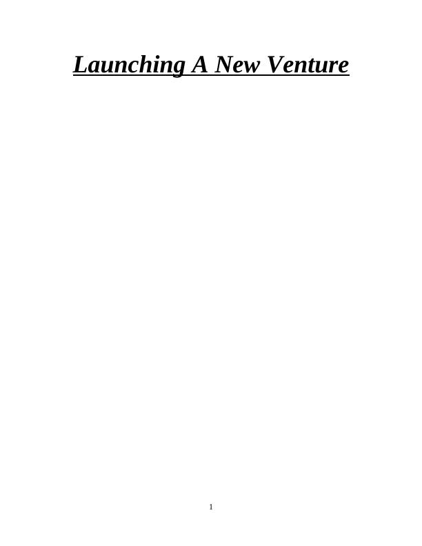 Launching A New Venture_1