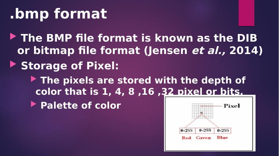 Use The Bmp Format As An Example To Explain File Holders