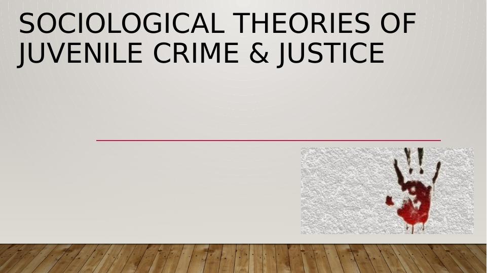Sociological Theories of Juvenile Crime & Justice_1