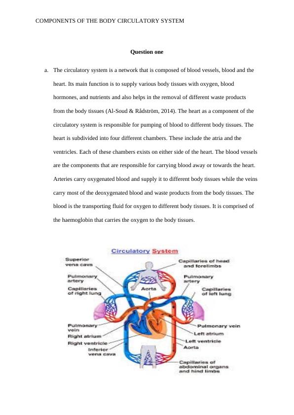 Components of the Body Circulatory System_2