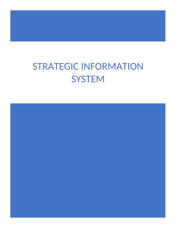 Strategic Information System for Business and Enterprise_1