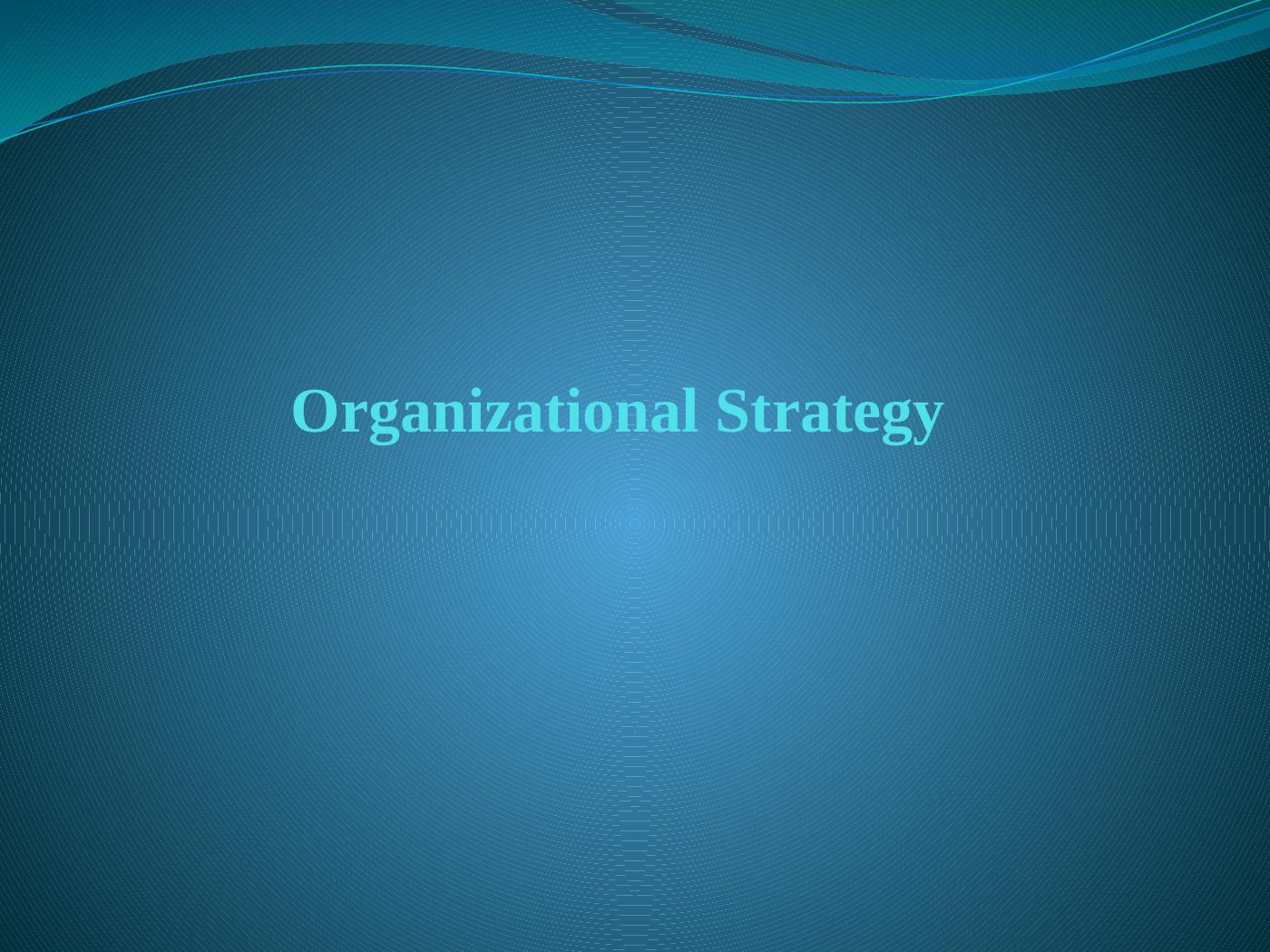 Organizational Strategy - Desklib