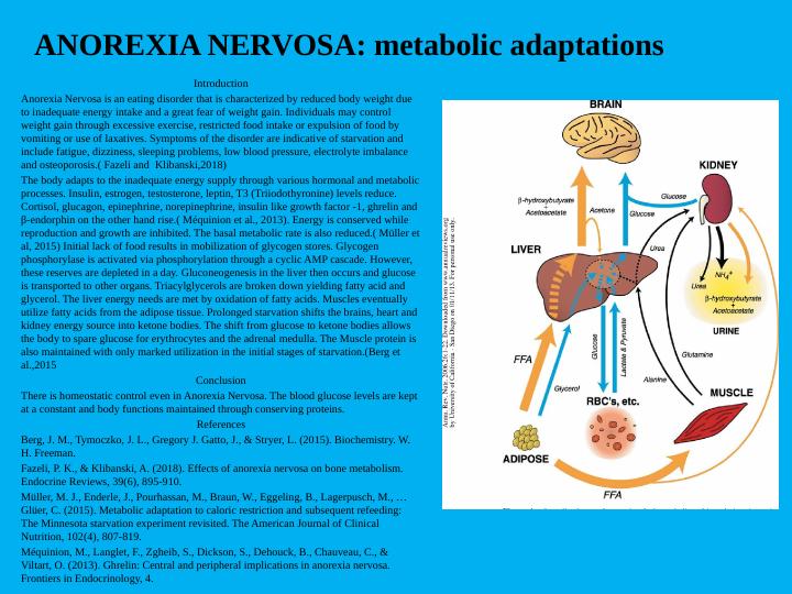 Anorexia Nervosa Metabolic Adaptations Analysis 2022_1