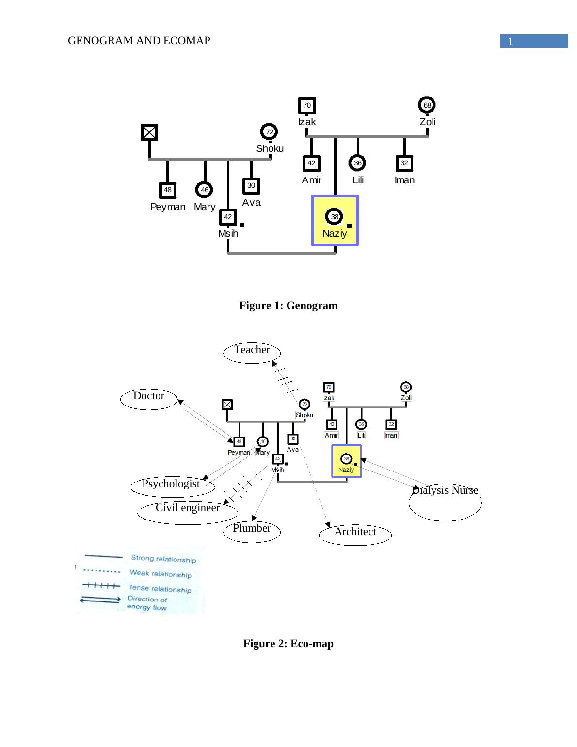 Genogram and Ecomap - Applications in Family Nursing Practice_2