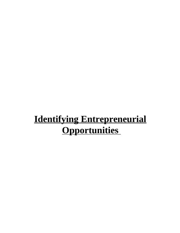 Identifying Entrepreneurial Opportunities PDF_1