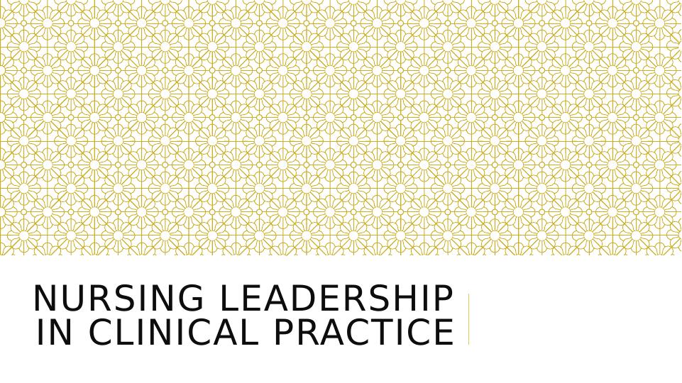 The Assignment on Nursing Leadership in Clinical Practice_1