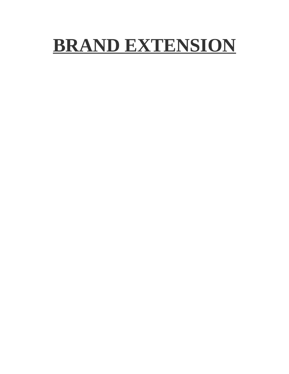 Brand Extension Assignment - Louis Vuitton